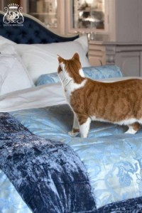 dutch boudoir quilt-Ciel-Bleu1